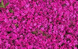 poslepohoronnoe-obsluzhivanije-banner